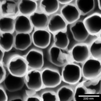 TiO2 nanotubes imaged at 500 eV in the beam deceleration mode with the Axial detector. TiO2_nanotubes_500ev_BD_sbar200nm_Axial_detector.jpg