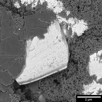 Li-ion_battery_cathode_2keV_sbar2um_Multidetector_BSE_gridON.jpg