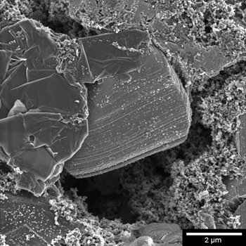 Li-ion_battery_cathode_2keV_sbar2um_Multidetector_SE_gridOFF.jpg