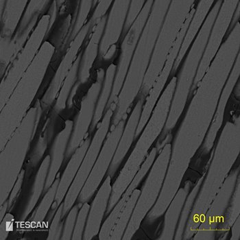 sedimentary_04-v.jpg